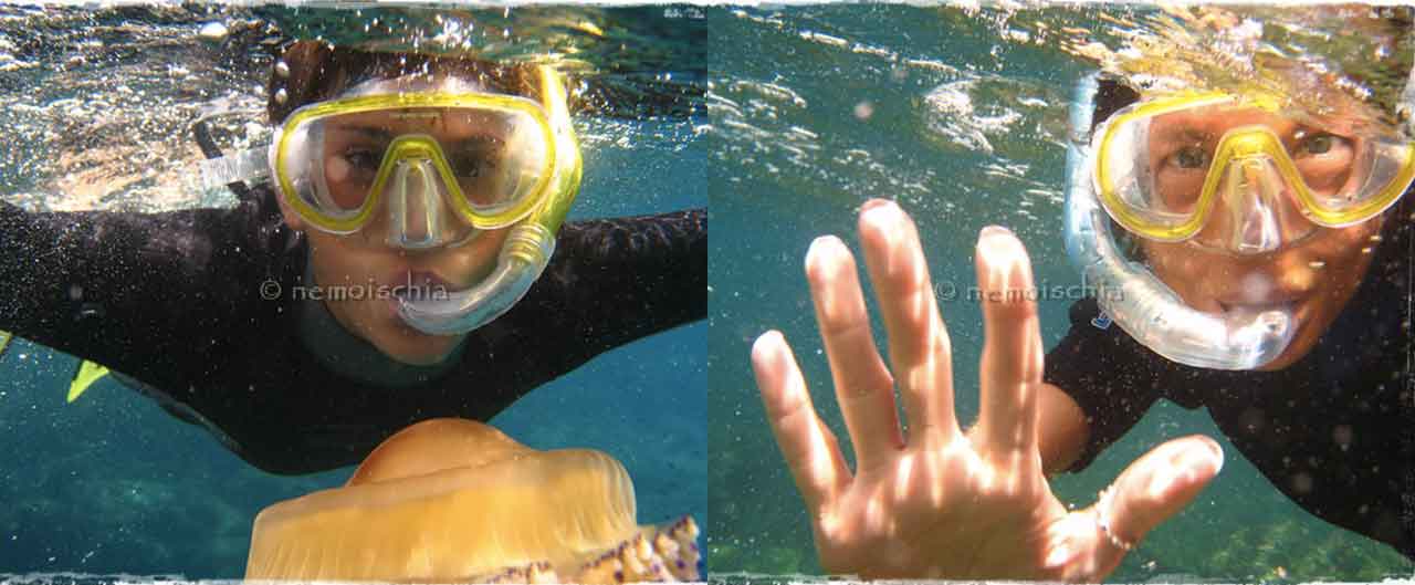 Sull'isola di Ischia si può effettuare lo snorkeling con NEMO